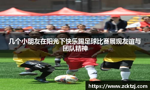 米兰体育官网